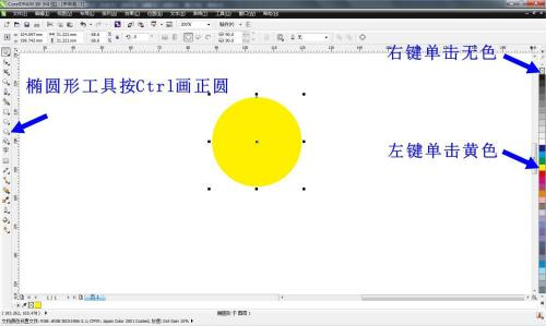 CorelDRAW X6如何绘制小雏菊 绘制小雏菊的方法