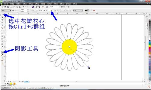 CorelDRAW X6如何绘制小雏菊 绘制小雏菊的方法