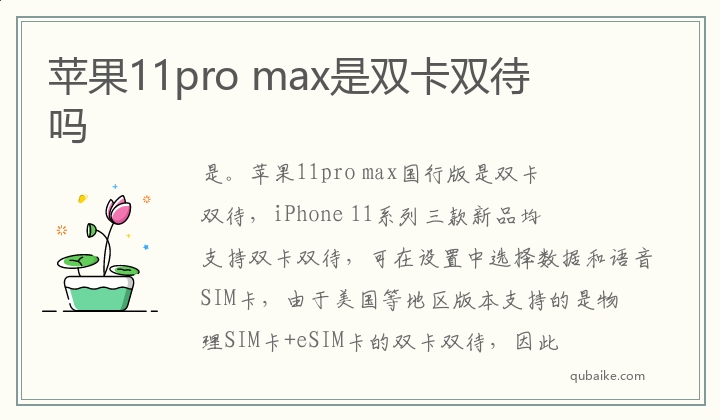 苹果11pro max是双卡双待吗