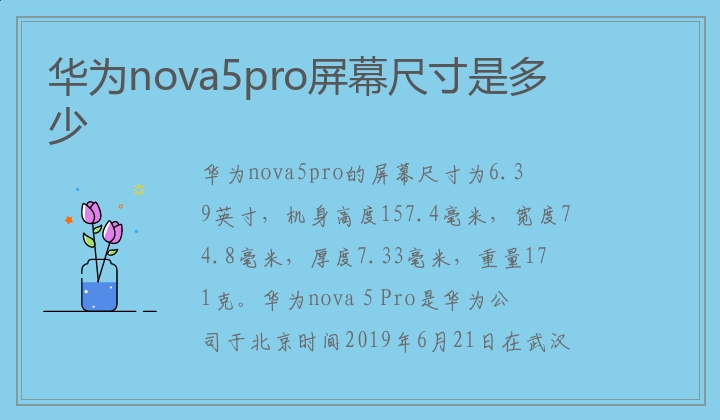 华为nova5pro屏幕尺寸是多少