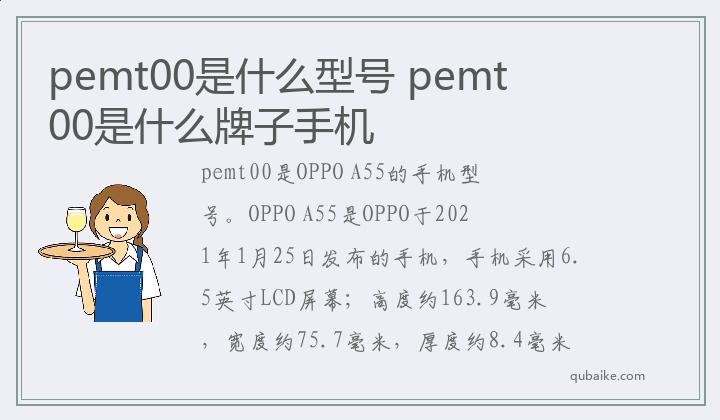pemt00是什么型号 pemt00是什么牌子手机