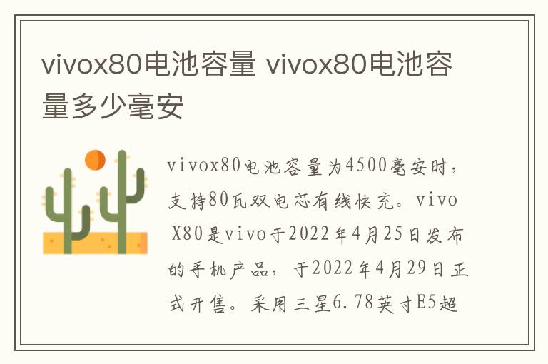 vivox80电池容量