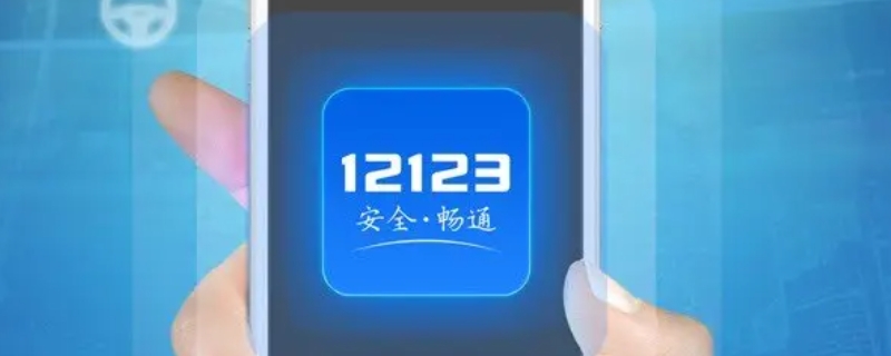 12123在线支付不了怎么回事