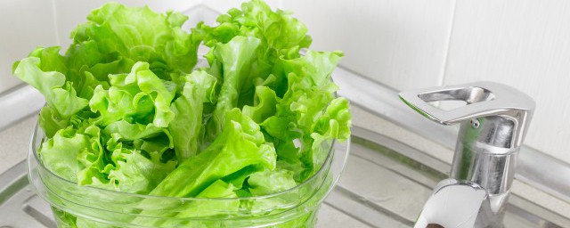 在家种植玻璃生菜的方法 在家种植玻璃生菜的方法是什么