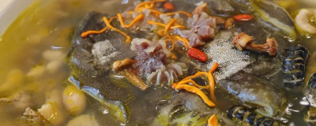 甲鱼汤煮多久能吃 甲鱼汤煮多长时间才能吃呢