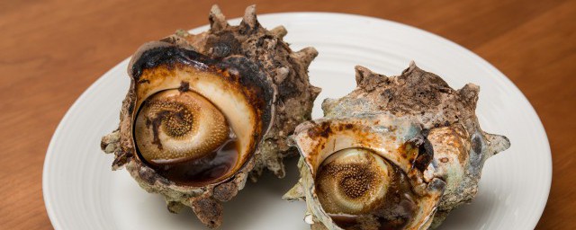 小螺要煮多久才能吃 小海螺煮多久