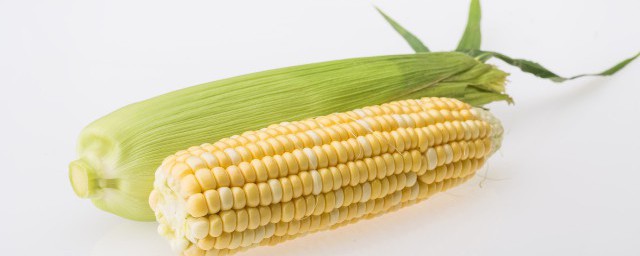 玉米多久能炖烂熟透吃了 玉米炖多长时间烂熟透就能吃呢