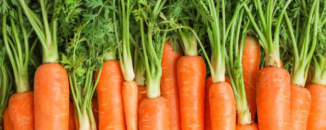 炖胡萝卜块多久会熟 炖胡萝卜块多长时间会熟呢