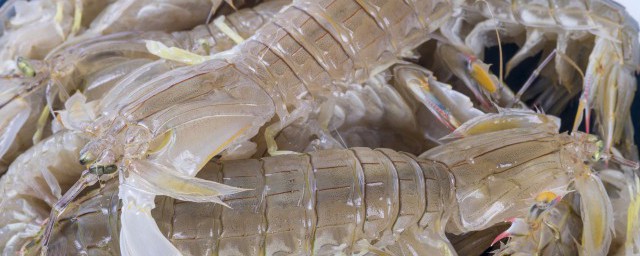 皮皮虾活的怎么保存才新鲜 皮皮虾活的如何保存才新鲜