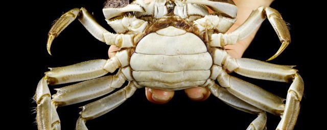 螃蟹和牛奶一起吃会中毒吗 吃螃蟹喝奶会食物中毒吗