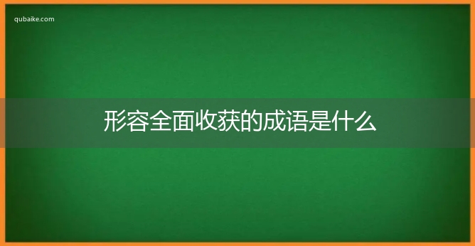 形容全面收获的成语是什么