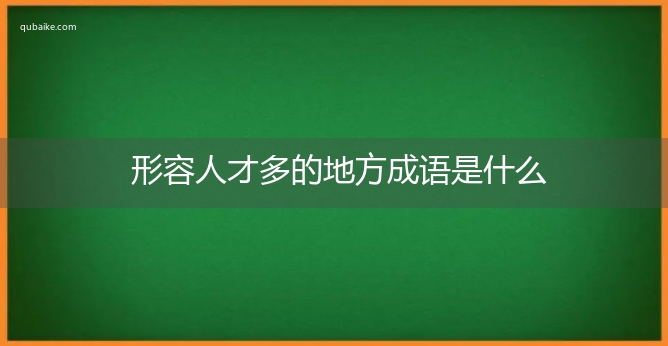 形容人才多的地方成语是什么