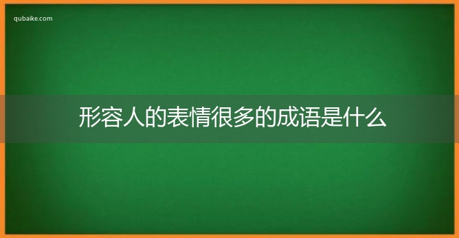 形容人的表情很多的成语是什么