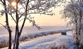 田野里白雪茫茫的诗句是什么 描写田野里白雪茫茫的诗句有哪些