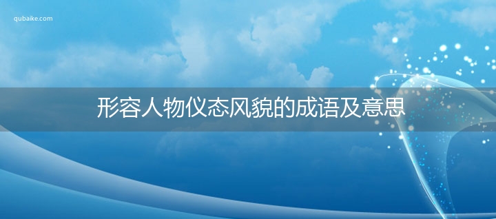 形容人物仪态风貌的成语及意思