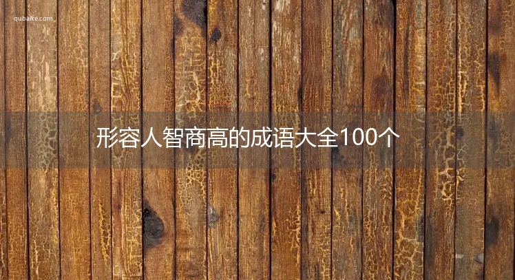 形容人智商高的成语大全100个