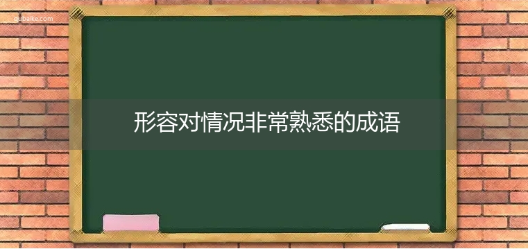 形容对情况非常熟悉的成语