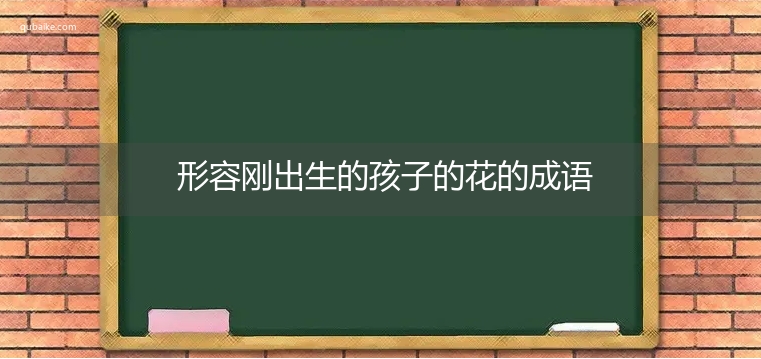 形容刚出生的孩子的花的成语