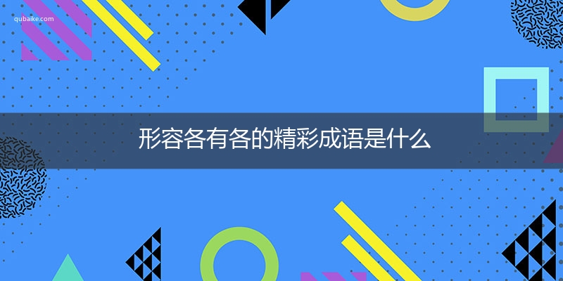 形容各有各的精彩成语是什么