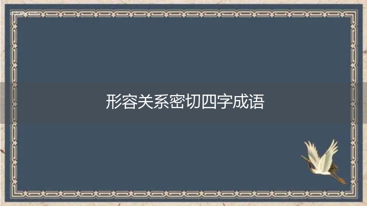 形容关系密切四字成语