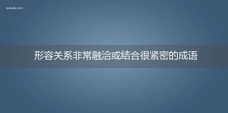 形容关系非常融洽或结合很紧密的成语