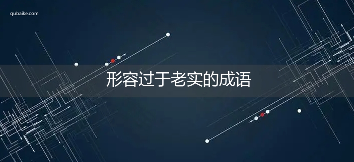 形容过于老实的成语