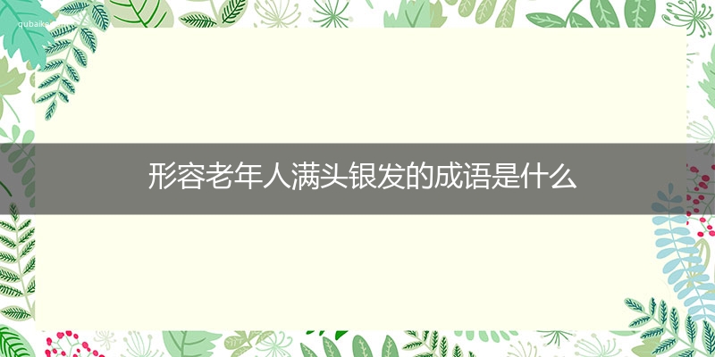 形容老年人满头银发的成语是什么