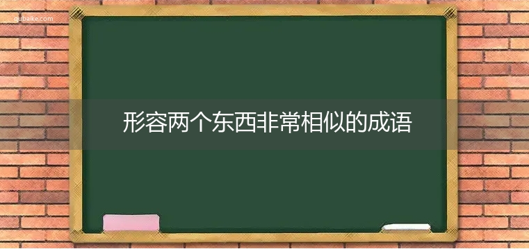 形容两个东西非常相似的成语