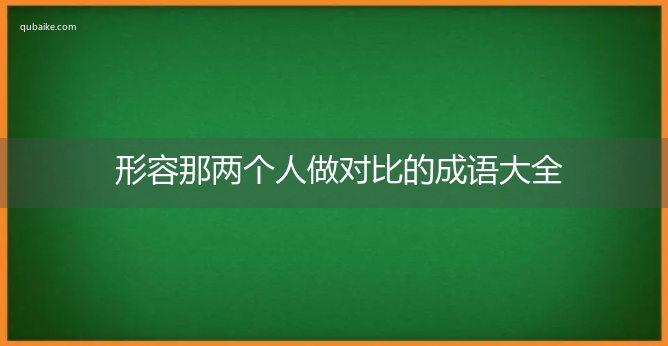 形容那两个人做对比的成语大全