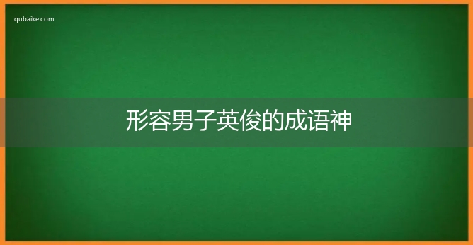 形容男子英俊的成语神