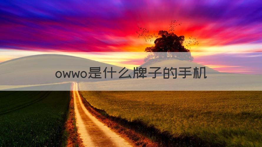 owwo是什么牌子的手机（知识科普）