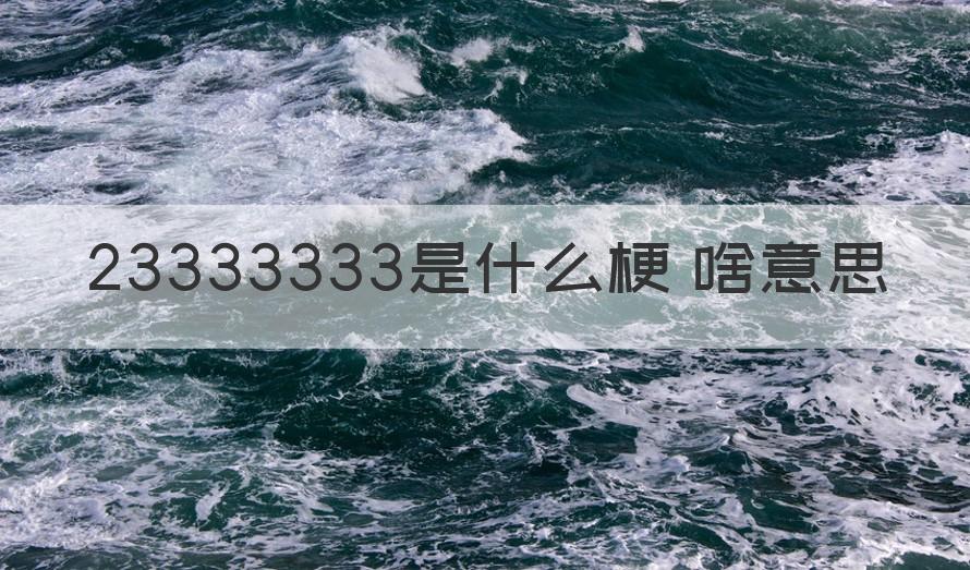 23333333（干货）