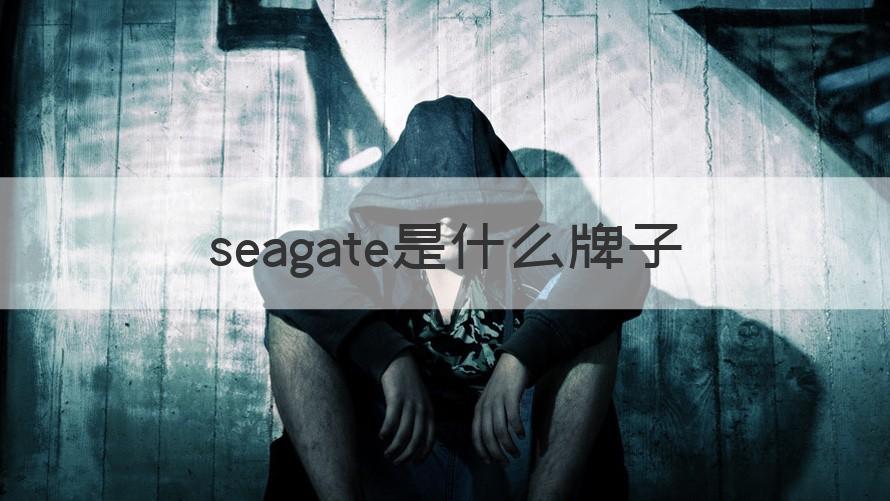 seagate是什么品牌 seagate是什么牌子（知识科普）