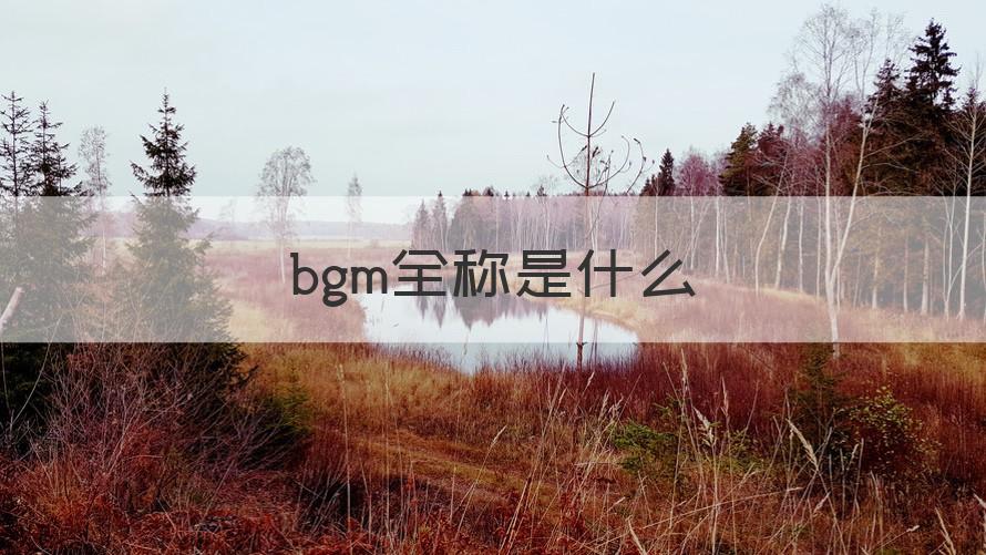 bgm全称 bgm全称是什么（记得收藏）