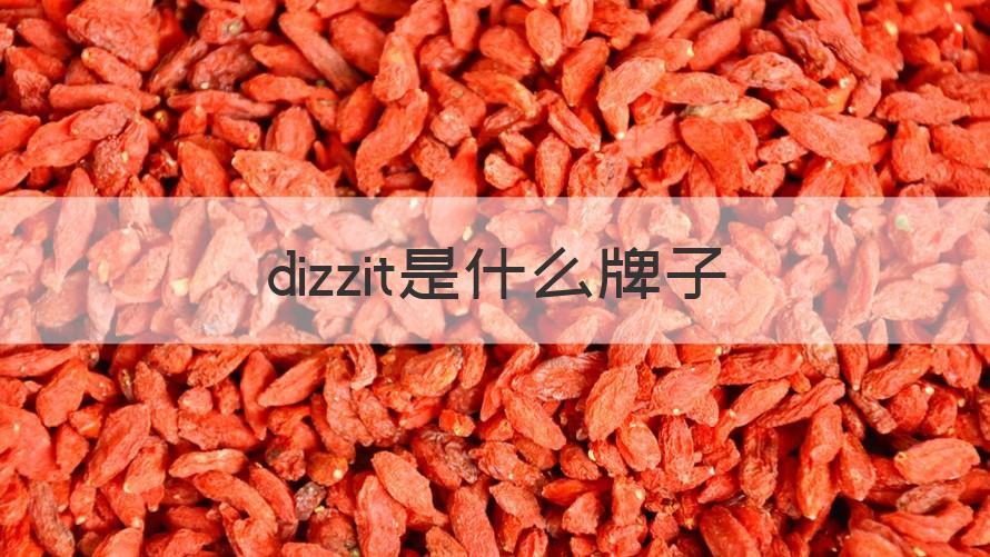 dzzit是什么牌子 dizzit是什么牌子（专家回答）