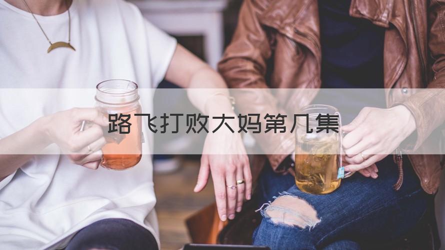 路飞打败大妈第几集 （介绍）