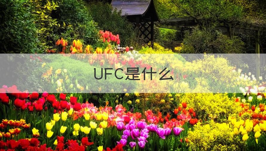 ufc是什么意思啊 UFC是什么（解答）