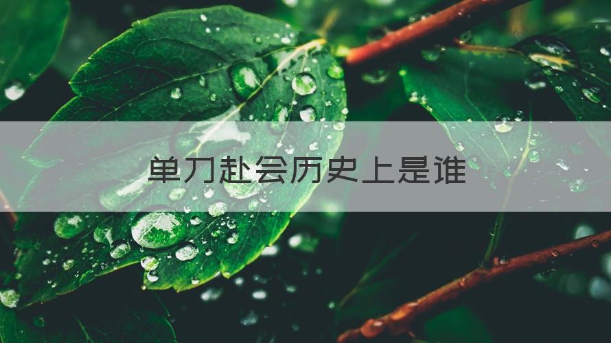 单刀赴会历史上是谁 （可靠解答）