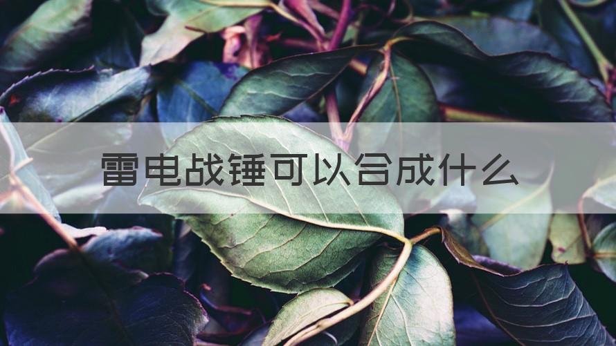 元气骑士雷电战锤可以合成什么 雷电战锤可以合成什么（知识科普）