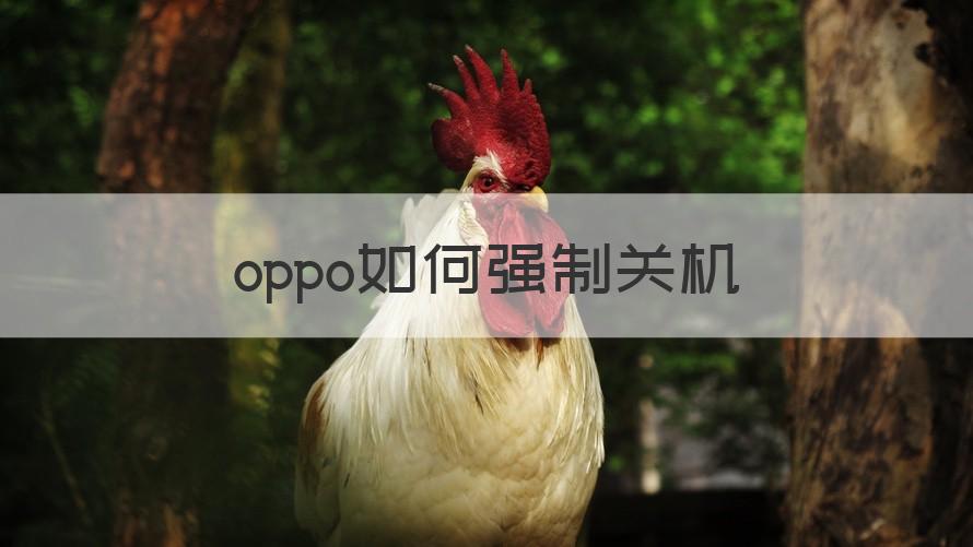 oppo强制关机 oppo如何强制关机（科普）