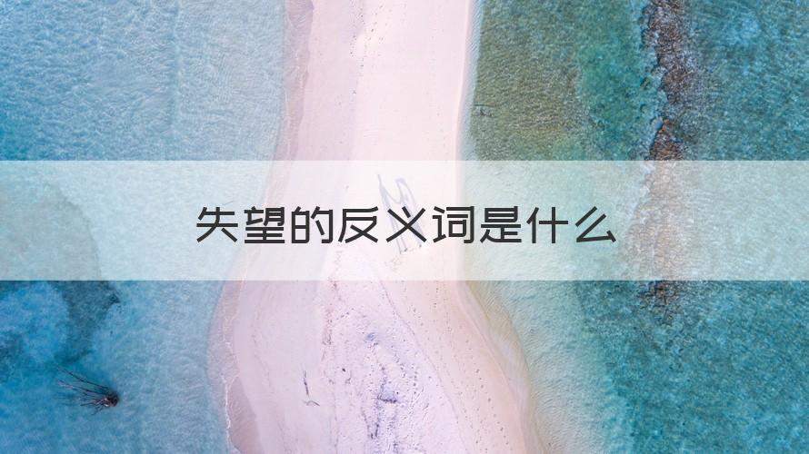 失望的反义词是什么 （干货）