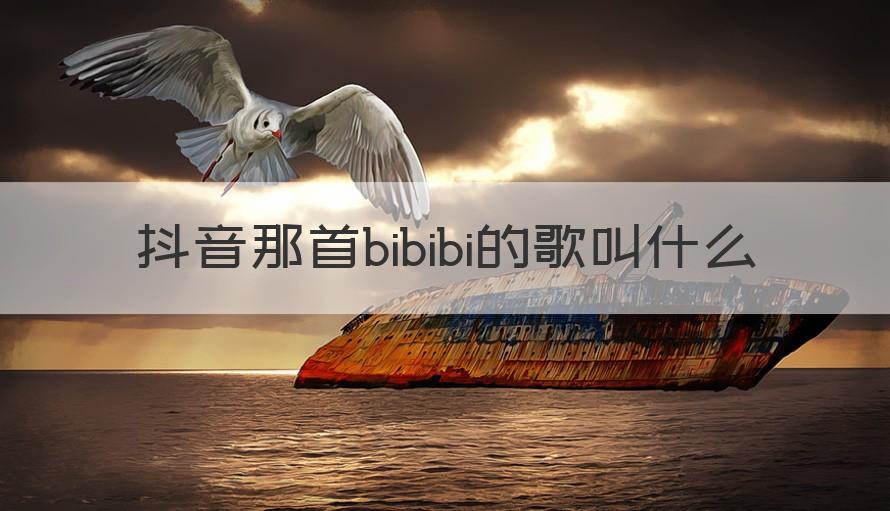 抖音那首bibibi的歌叫什么 （知识科普）