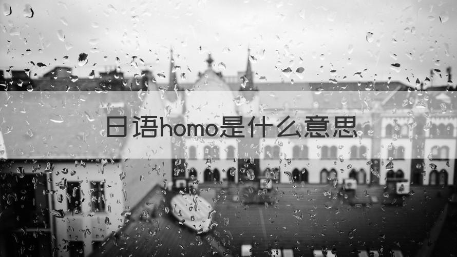 日语homo是什么意思 （可靠解答）
