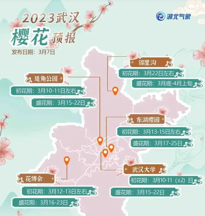 2023年武汉樱花花期预报最新出炉