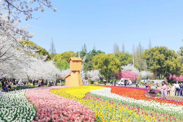 2023上方山百花节门票多少钱 附游玩时间及赏花指南