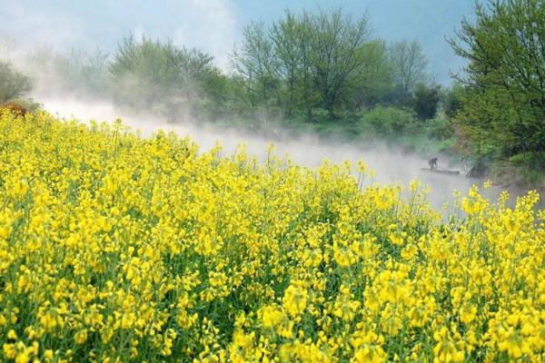 芜湖春天去哪玩 芜湖春季旅游景点推荐