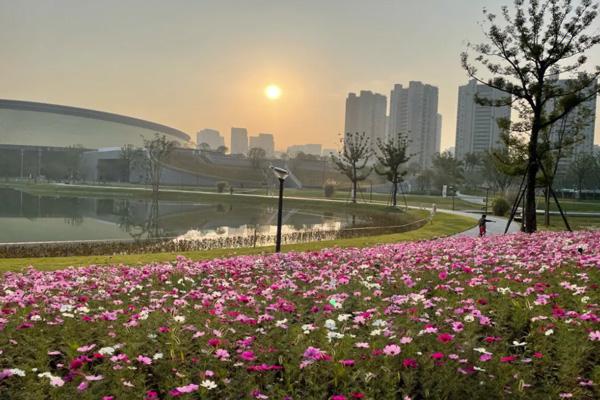 杭州春天赏花的地方2023