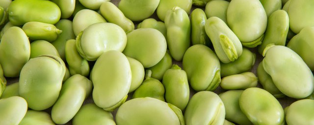新鲜蚕豆如何保鲜储存的 蚕豆保鲜及储存方法