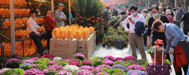 广州人过年为什么买花 广州人过年一般喜欢什么花