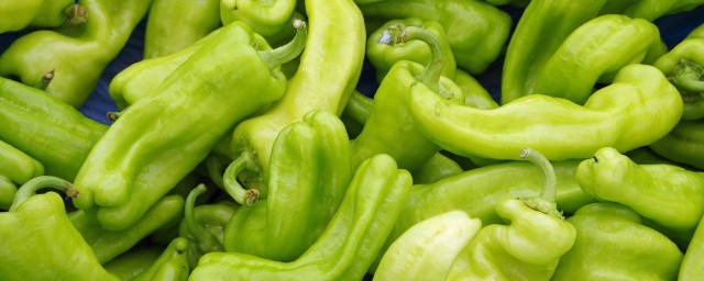 如何保存新鲜青椒 有什么方法可以保存新鲜青椒